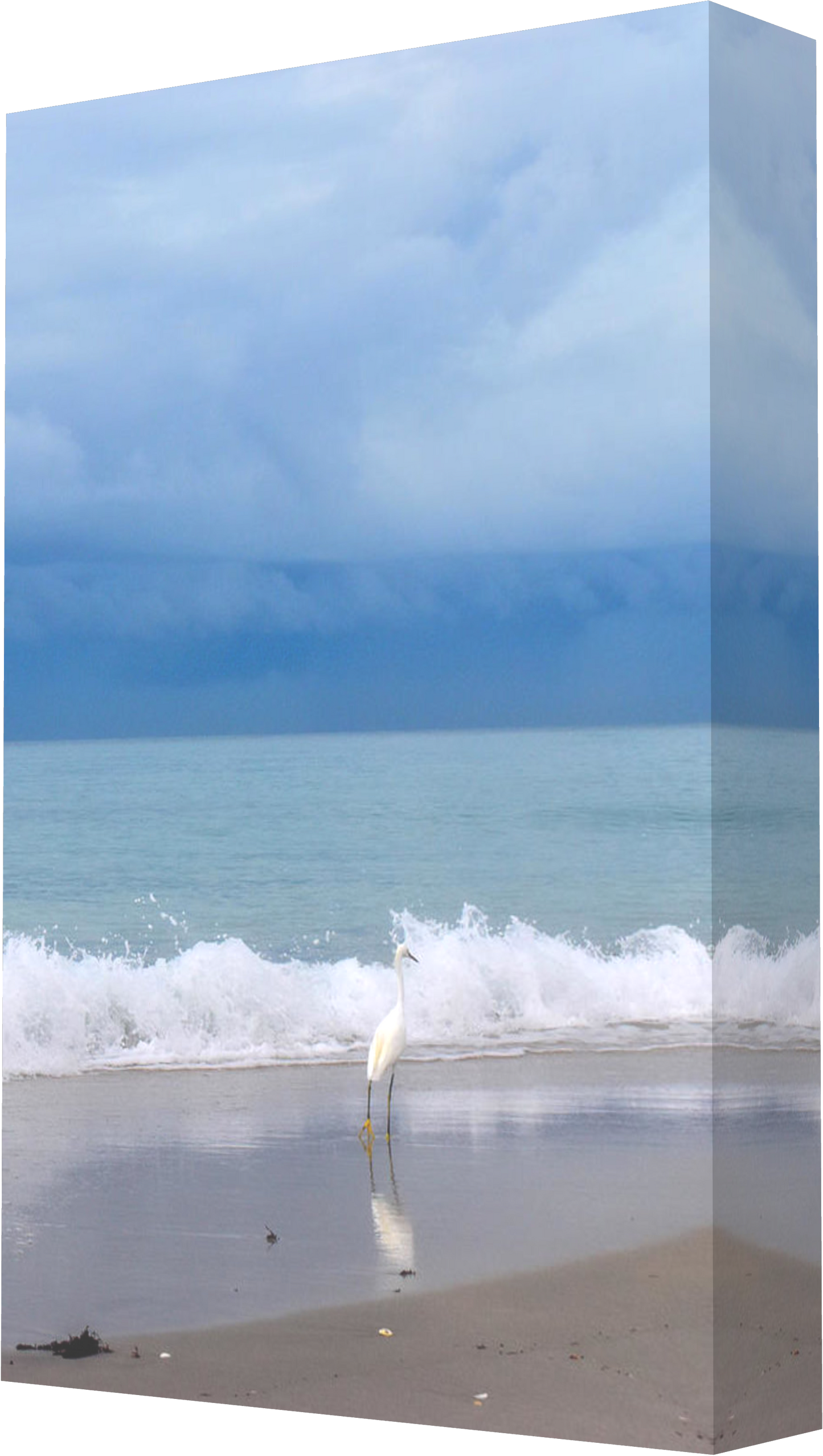 Egret Reflections at Seaside - Classic Canvas Print