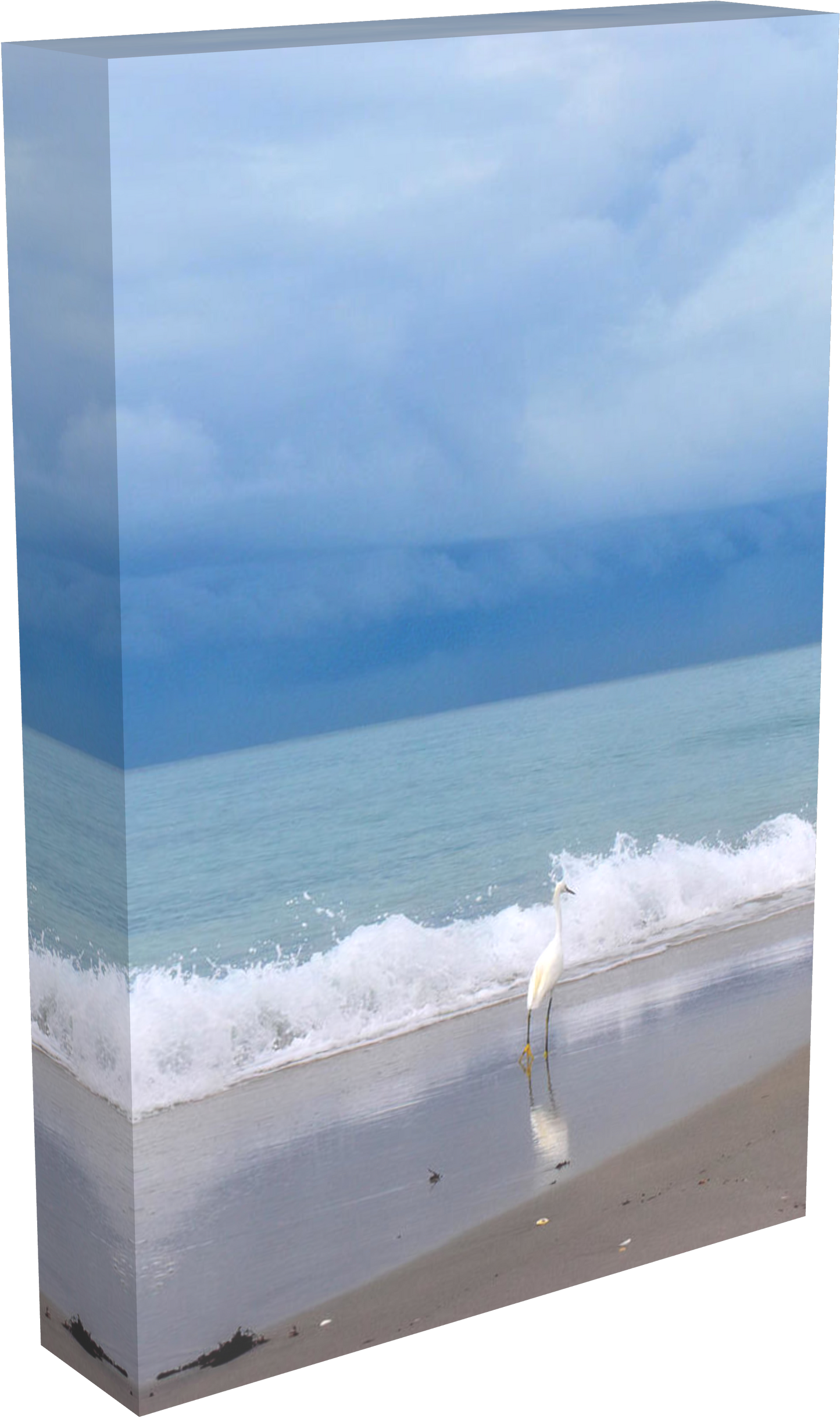 Egret Reflections at Seaside - Classic Canvas Print