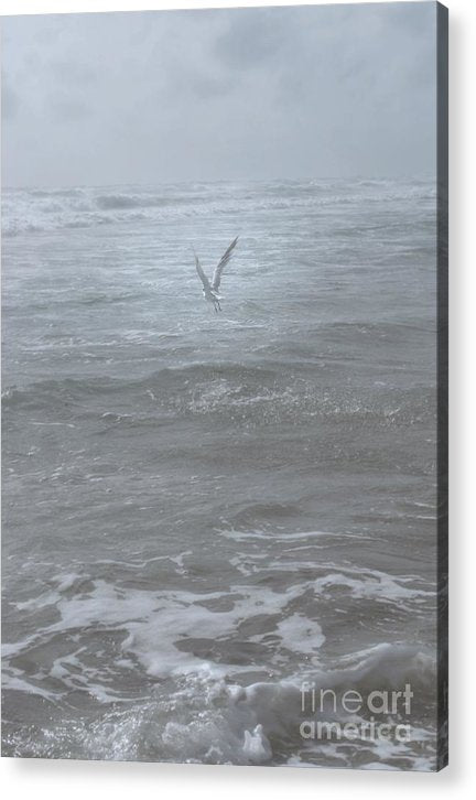 Flight in the Fog - Classic Acrylic Print