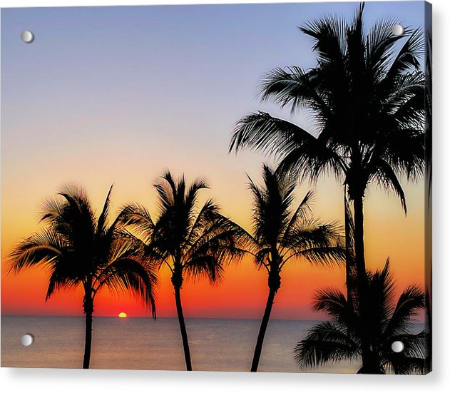 good morning tropical sunrise acrylic print with posts by jacqueline mb designs  