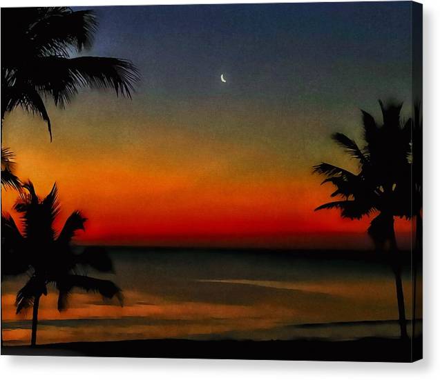 Good Night Tropical Moon DA - Classic Canvas Print