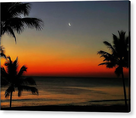 good night tropical moon acrylic print by jacqueline mb designs 
