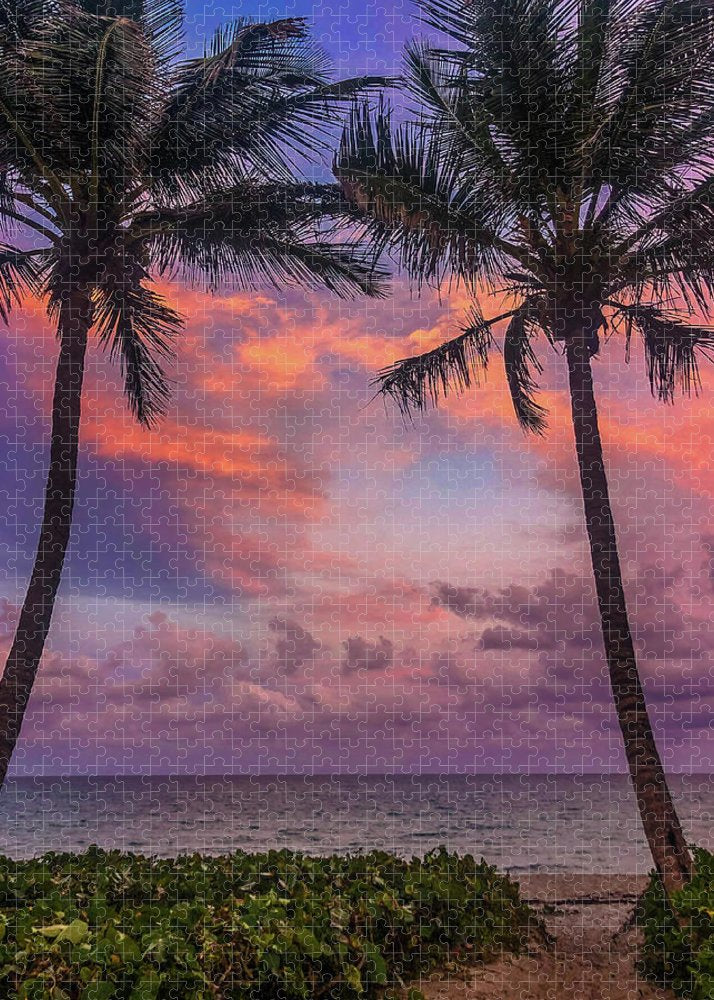 Pathway to Tropical Sunset  - Puzzle