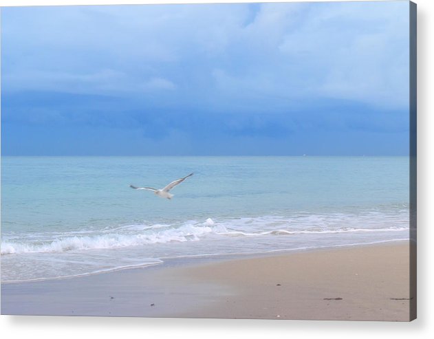 peacefully coasting over the beach acrylic print by jacqueline mb designs 
