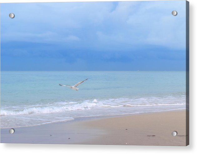 peacefully coasting over the beach acrylic print with posts by jacqueline mb designs 