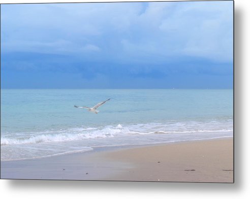 Peacefully Coasting over the Beach  - Classic Metal Print