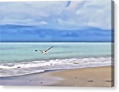 Peacefully Coasting over the Beach  - Classic Canvas Print