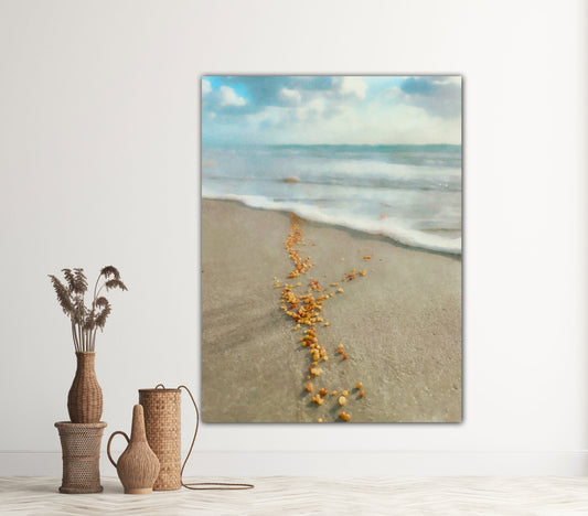 peddles of sea florida beach metal print by jacqueline mb designs 