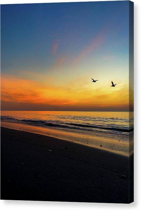 Pelican Sunrise Flight  - Canvas Print