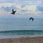 Pelicans Flying along seashore Art  - Puzzle