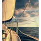 Sunset Sail Southern Florida Sherpa Fleece Blanket 50" x 60" 