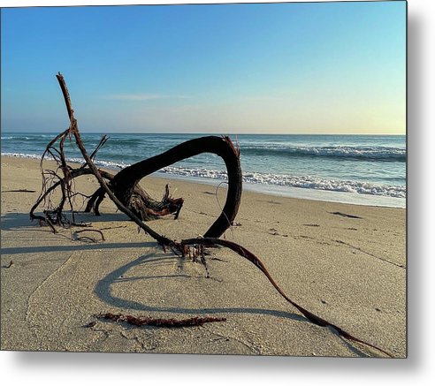 Sea Sculpture  - Metal Print