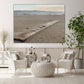 Shells in a Row on Driftwood at Beach - Classic Canvas Print