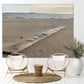 Shells in a row on Driftwood at Beach - Classic Metal Print