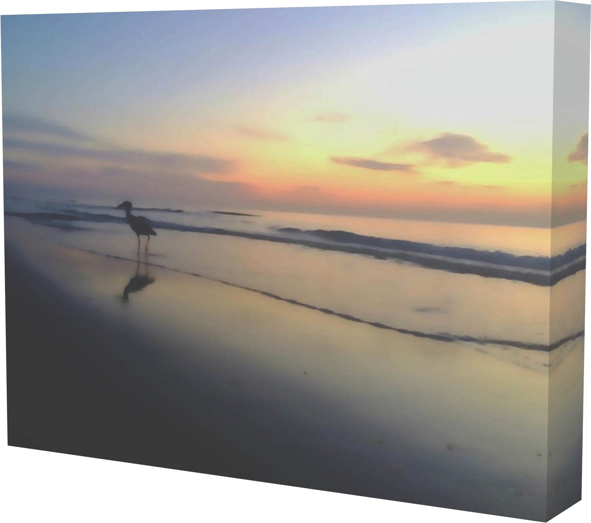 Egret enjoy morning at beach canvas Right side view print by Jacqueline mb designs 