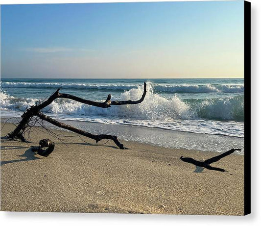 Touching A Wave  - Canvas Print