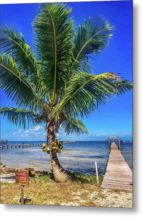 Tropical Relaxation Pine Island Florida - Classic Metal Print