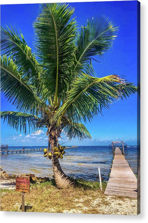 Tropical Relaxation on Pine Island Florida  - Classic Acrylic Print