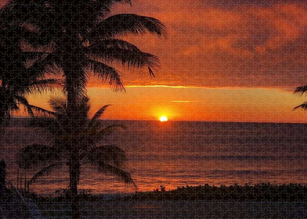 A Tropical Sunrise  - Puzzle