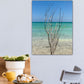 Tropical Sea Tree - Classic Canvas Print