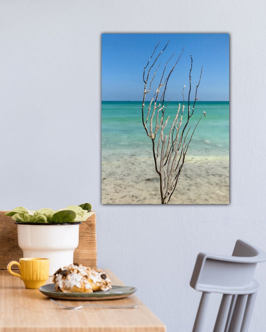Tropical Sea Tree - Classic Canvas Print
