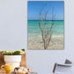 Tropical Sea Tree - Acrylic Print